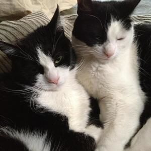 Meet your Posher, Carolann